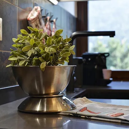 Abri De Dafne, Rifugio Di Design